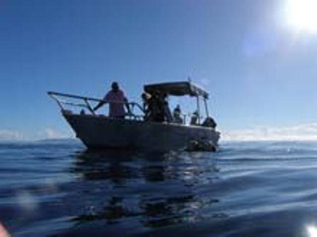 Готель Dolphin Bay Divers Retreat Vatolotolo Екстер'єр фото